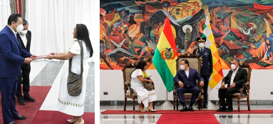 Embajadora de Colombia en Bolivia presentó cartas credenciales ante el Presidente del Estado Plurinacional de Bolivia, Luis Arce