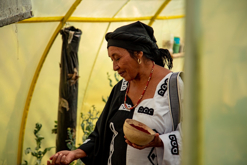 Visita al invernadero de la escuela Manq'a de Franz Tamayo. Foto: Noellia Chulver.