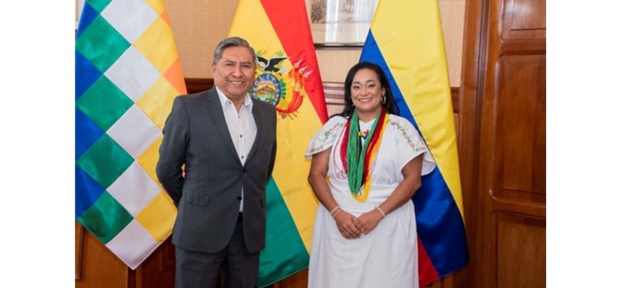 Embajadora Elizabeth García presentó copias de estilo al ministro de Relaciones Exteriores de Bolivia